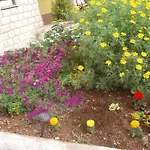 شقة Teresa *