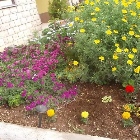 Appartamento Teresa - Great Location & Parking *